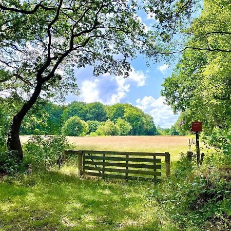 Buitenlust In Het Bos Zuidlaren Eksteriør billede
