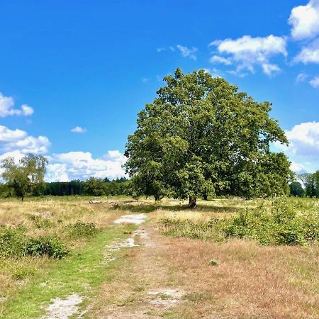 Buitenlust In Het Bos Zuidlaren Eksteriør billede