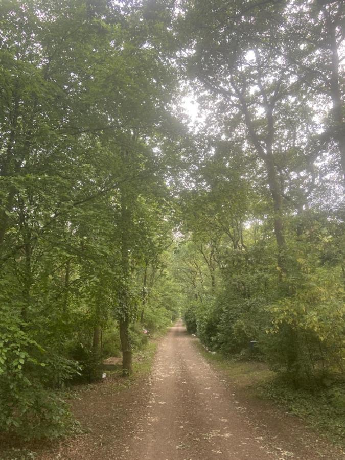 Buitenlust In Het Bos Zuidlaren Eksteriør billede