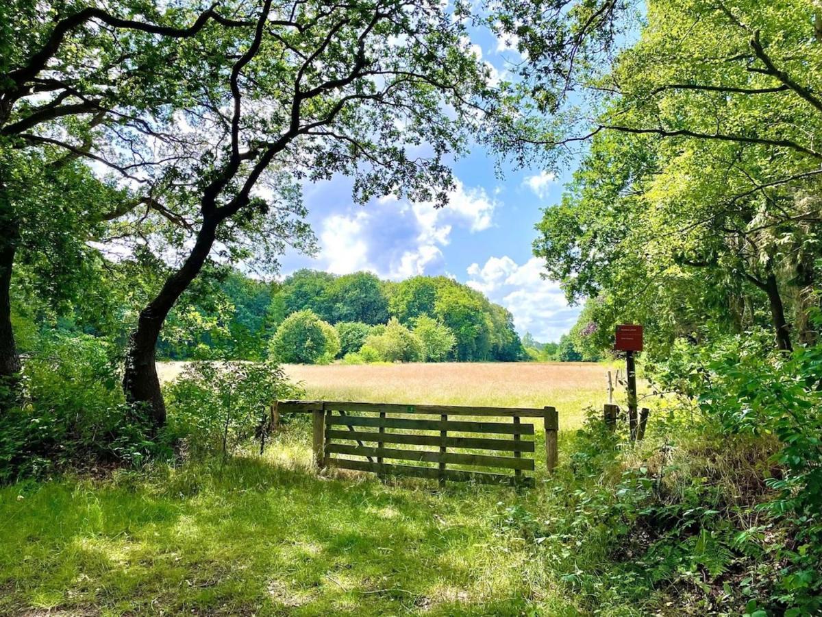 Buitenlust In Het Bos Zuidlaren Eksteriør billede