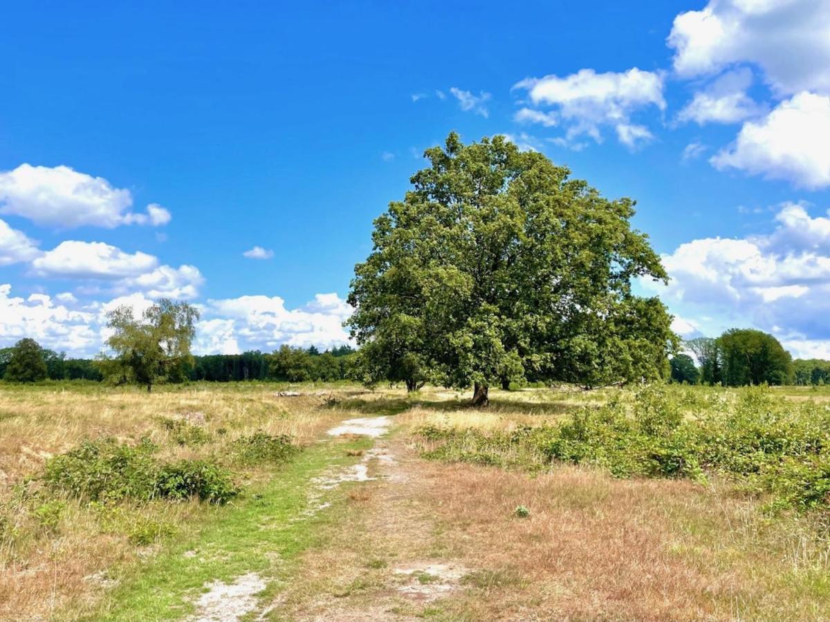 Buitenlust In Het Bos Zuidlaren Eksteriør billede