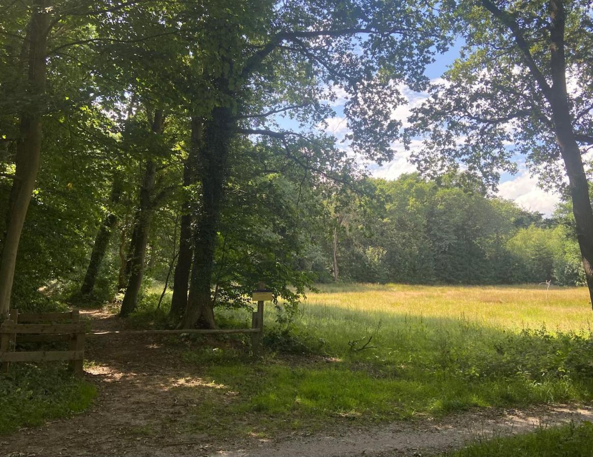 Buitenlust In Het Bos Zuidlaren Eksteriør billede