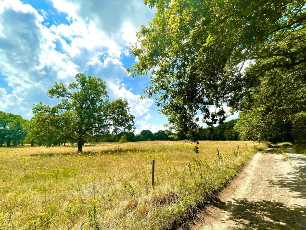 Buitenlust In Het Bos Zuidlaren Eksteriør billede